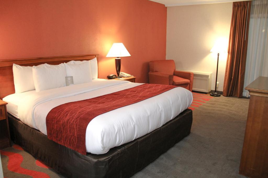 Comfort Inn & Suites Airport Сірак'юс Номер фото